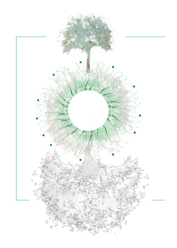 Mycelium boom