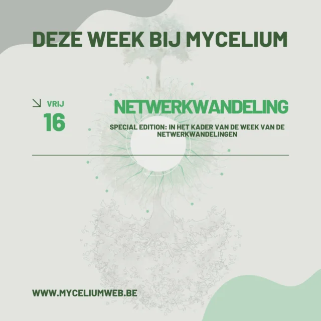 Geniet samen met ons van deze speciale wandeling in Genk.⁠
⁠
Wij starten om 13u (stipt) en sluiten af op organische wijze tegen 16 uur. Houd hiermee rekening zodat je ook nog in ontspanning naar huis kan terugkeren zonder haast.⁠
⁠
Je wordt  verwacht op de parking van Ottachi House te Genk, Hoogveldstraat 49.⁠
⁠
Deze wandeling is een onderdeel van de week van de netwerkwandelingen. En is gratis.⁠
⁠
Vragen? Aarzel niet om te bellen naar Nathalie op 0486 66 15 73 of te mailen naar info@myceliumweb.be⁠
⁠
Wij helpen jou graag verder!⁠
⁠
Zien wij jou dan?⁠
⁠
#wdvnww #netwerkwandeling #weekvandenetwerkwandelaar #netwerkwandelinggenk #genk #kattevennen #mycelium #myceliumweb #ondernemen #ondernemers #ondernemer #zelfontwikkeling #netwerk #netwerken #connectie #verbinding